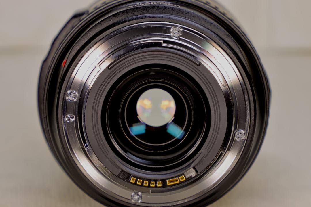 EF70-300mm F4.5-5.6 DO IS USM【高解像感・作例あり】