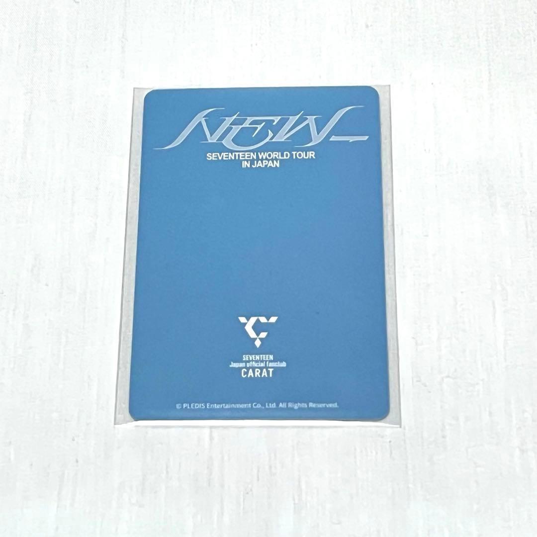 seventeen 更新 トレカ NEW エスクプス　S.COUPS 鳥貴族