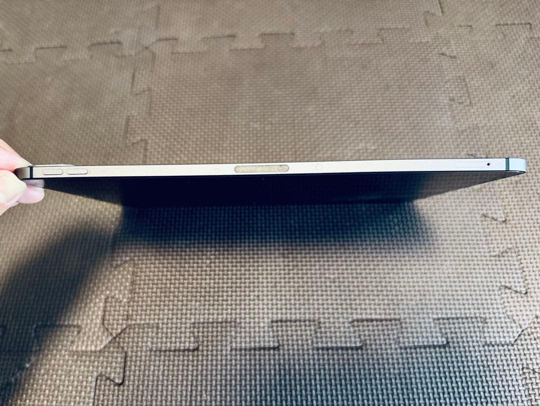 早い者勝ち！　iPad Pro 11 M1チップ　256GB セルラー　美品