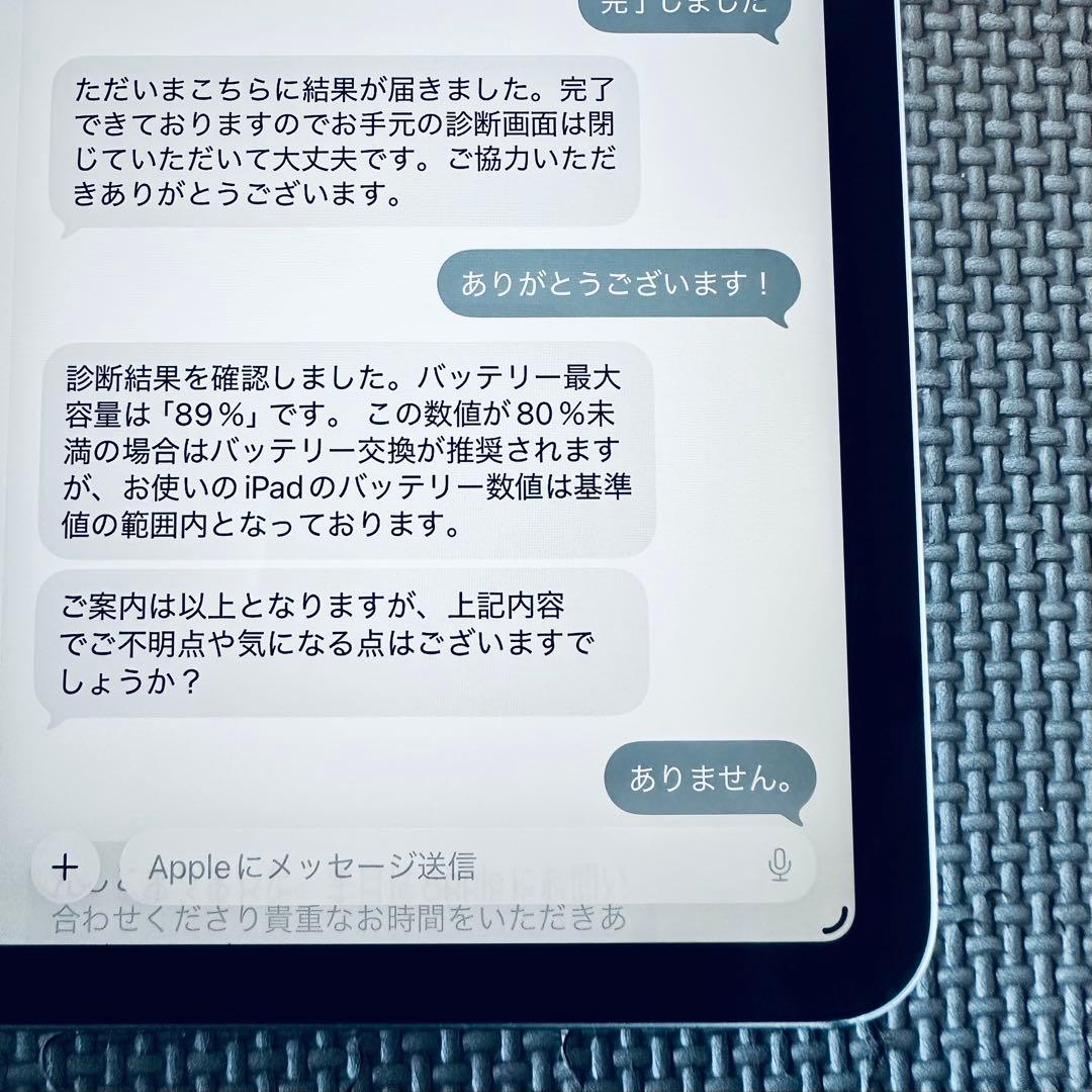 早い者勝ち！　iPad Pro 11 M1チップ　256GB セルラー　美品