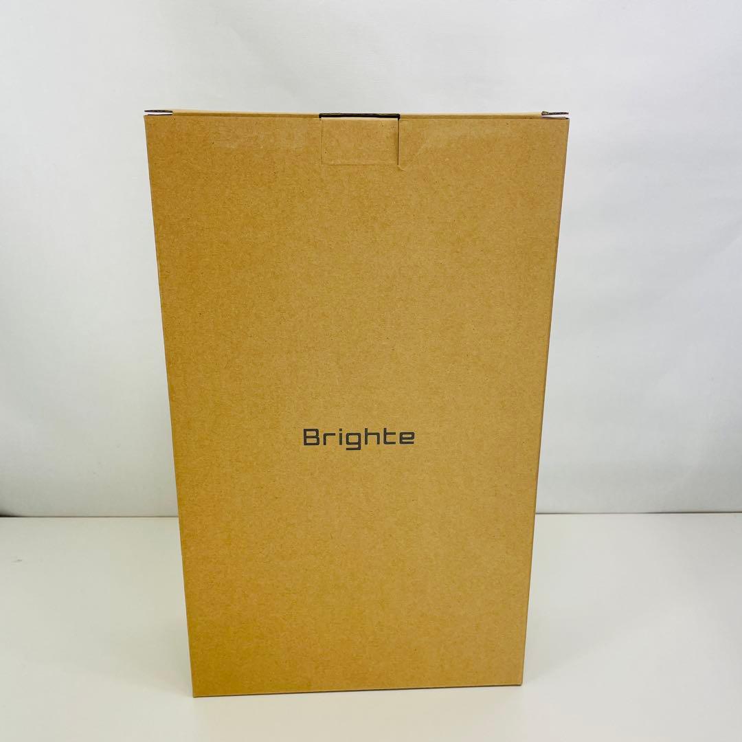 【新品未開封】Brighte ブライト シャワードライヤー BRT-SD173