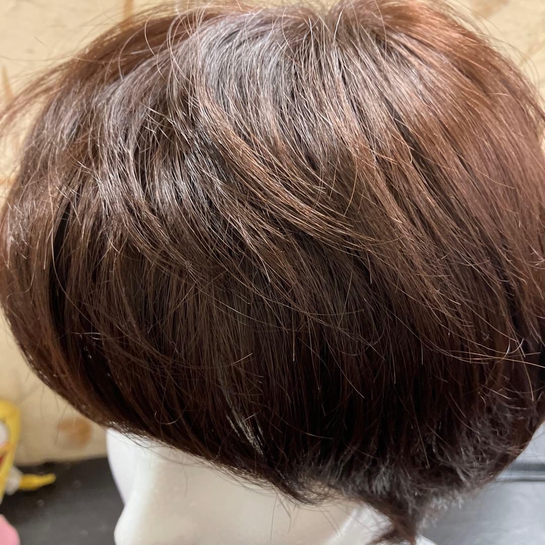 新品医療用ウィッグ ショートヘア ブラウン 総手植え RINGSJapan