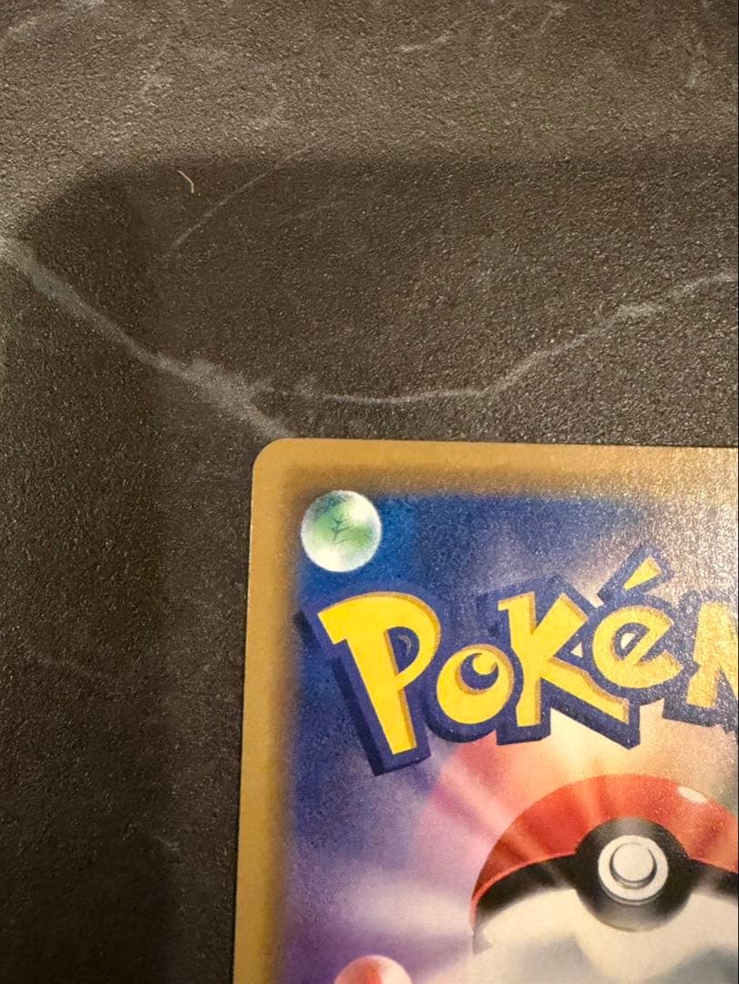 海で遊ぶピカチュウ