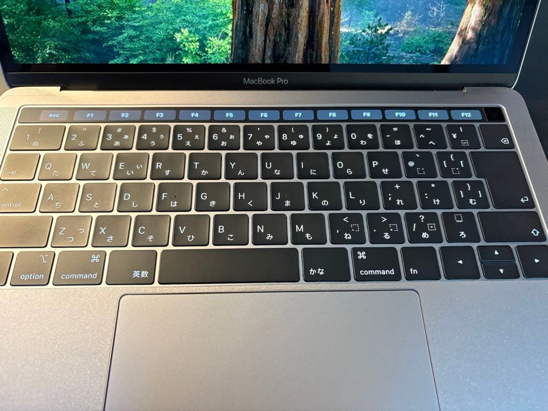 【美品】Mac book pro 13-inch 2018