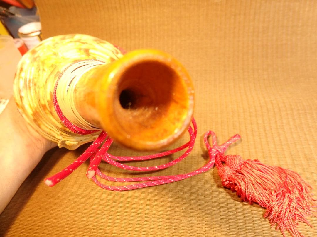 法螺貝 約34㎝ 木製歌口,赤紐付　新品　 MH-435