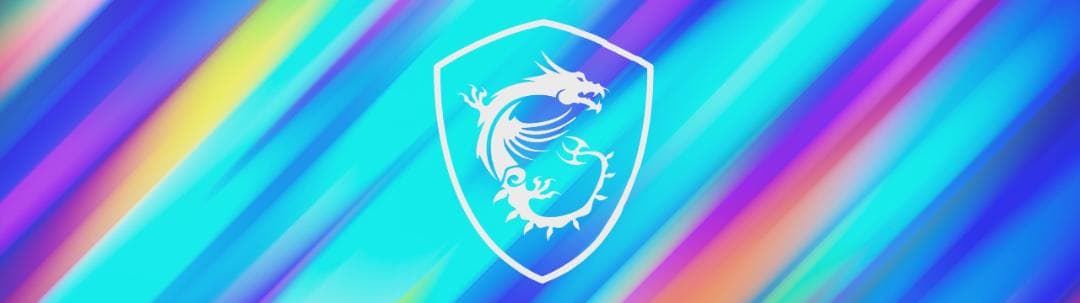 【-v- 】MSI MPG 491CQP QD-OLED 49インチ