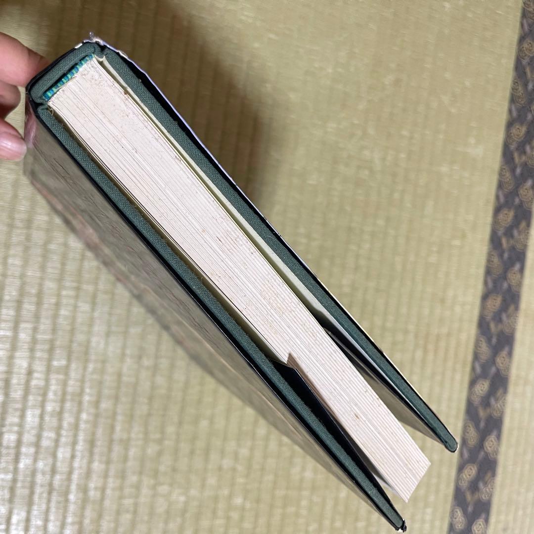 【絶版本】「Tillandsia」PAUL T.ISLEY Ⅲ チランジア