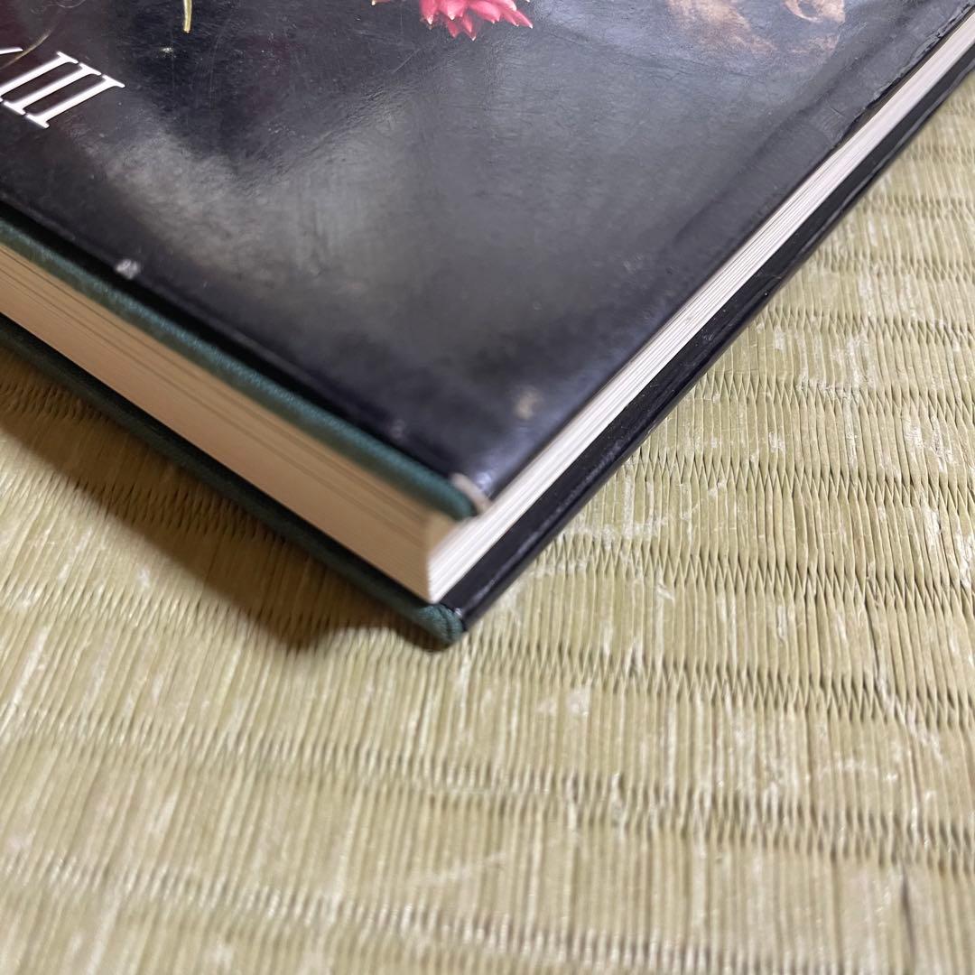 【絶版本】「Tillandsia」PAUL T.ISLEY Ⅲ チランジア