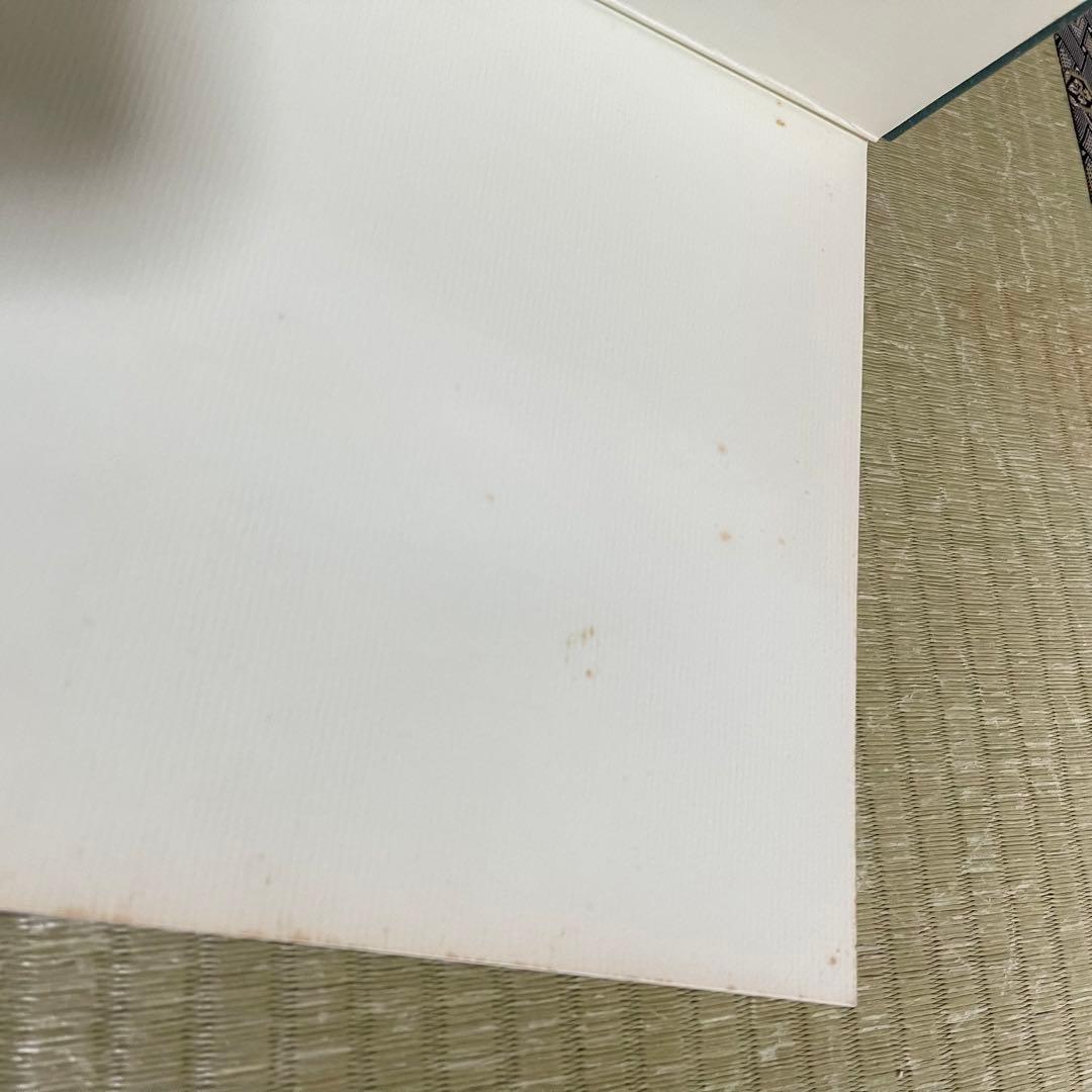 【絶版本】「Tillandsia」PAUL T.ISLEY Ⅲ チランジア