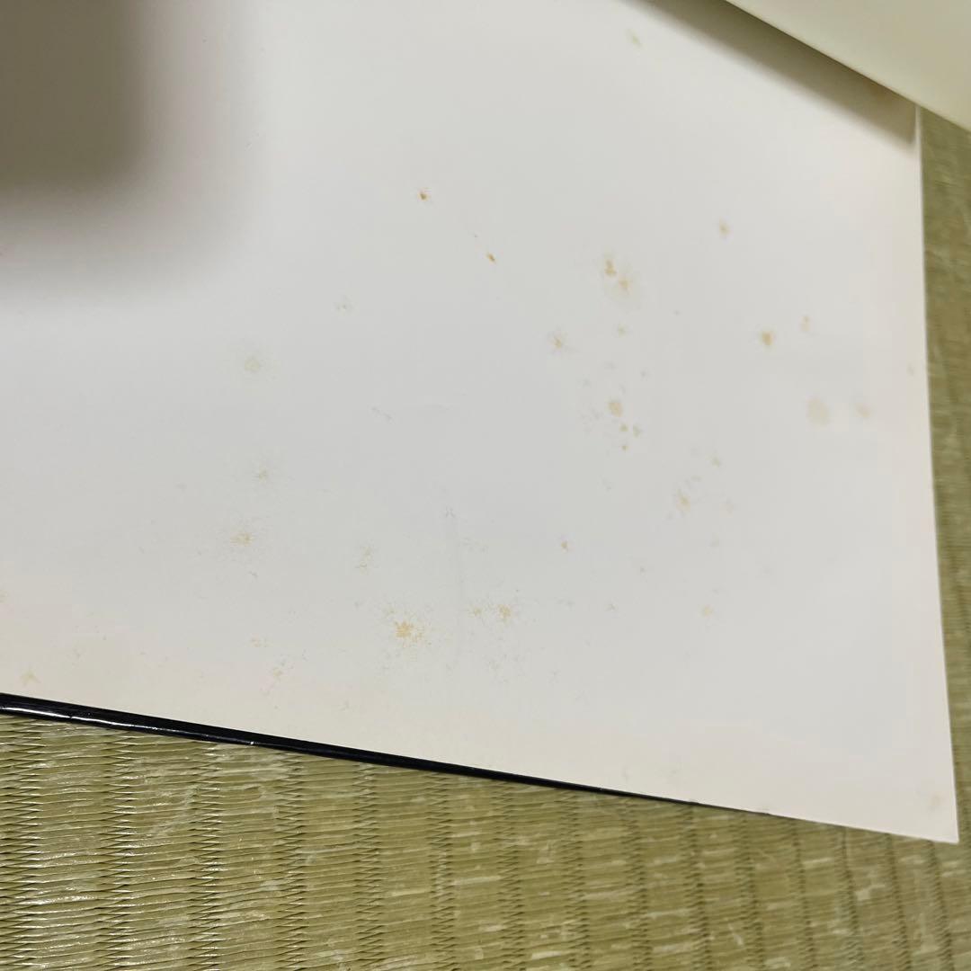 【絶版本】「Tillandsia」PAUL T.ISLEY Ⅲ チランジア