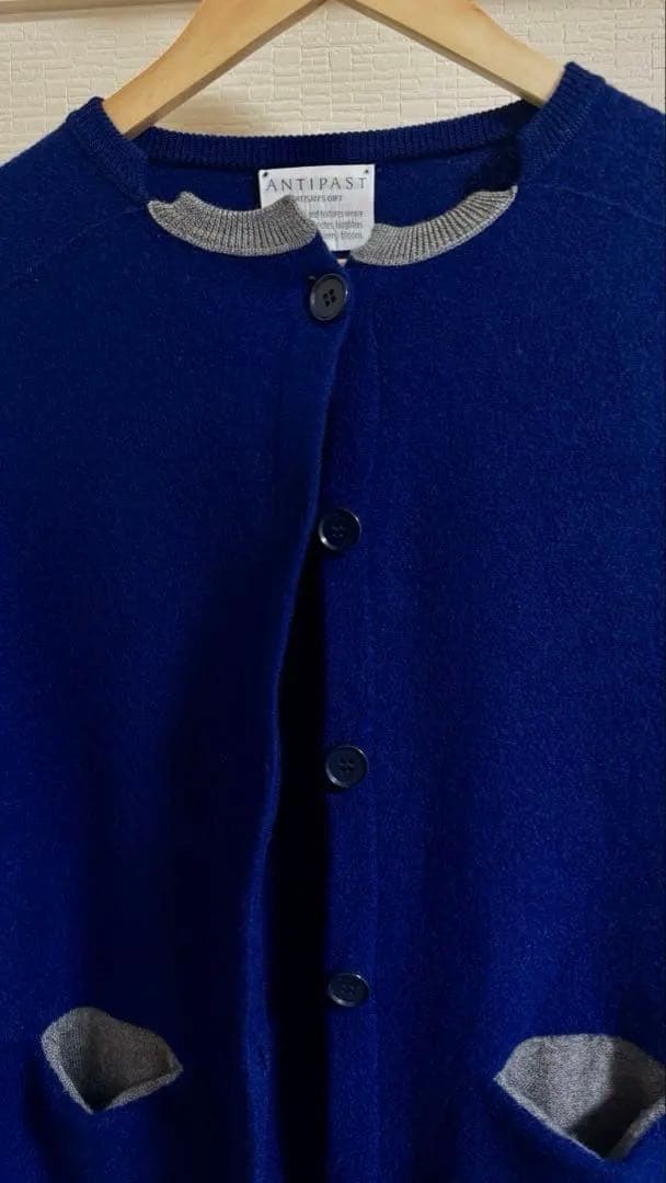 ANTIPAST FELTED KNIT CARDIGAN /ミナペルホネン