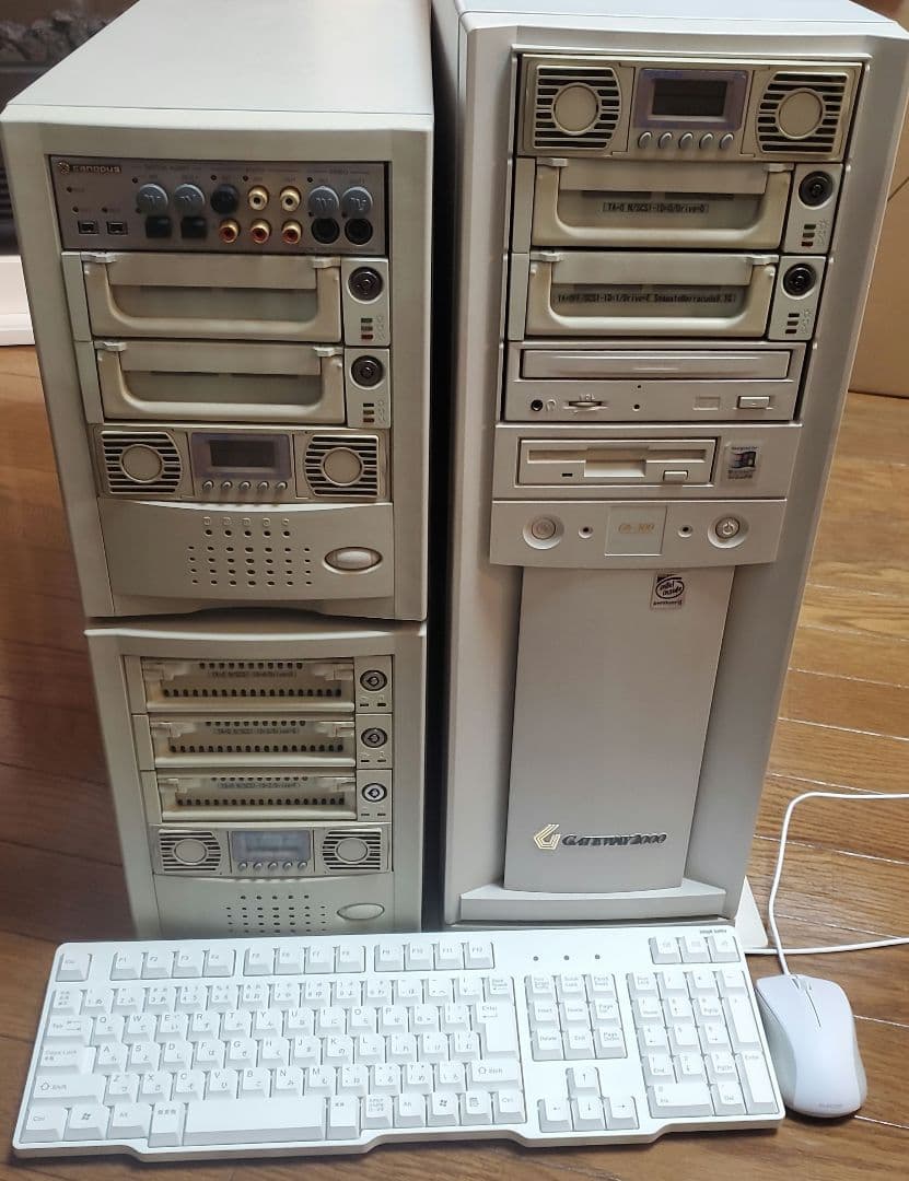 Gatewey2000＋DVRex-M1(canopus)