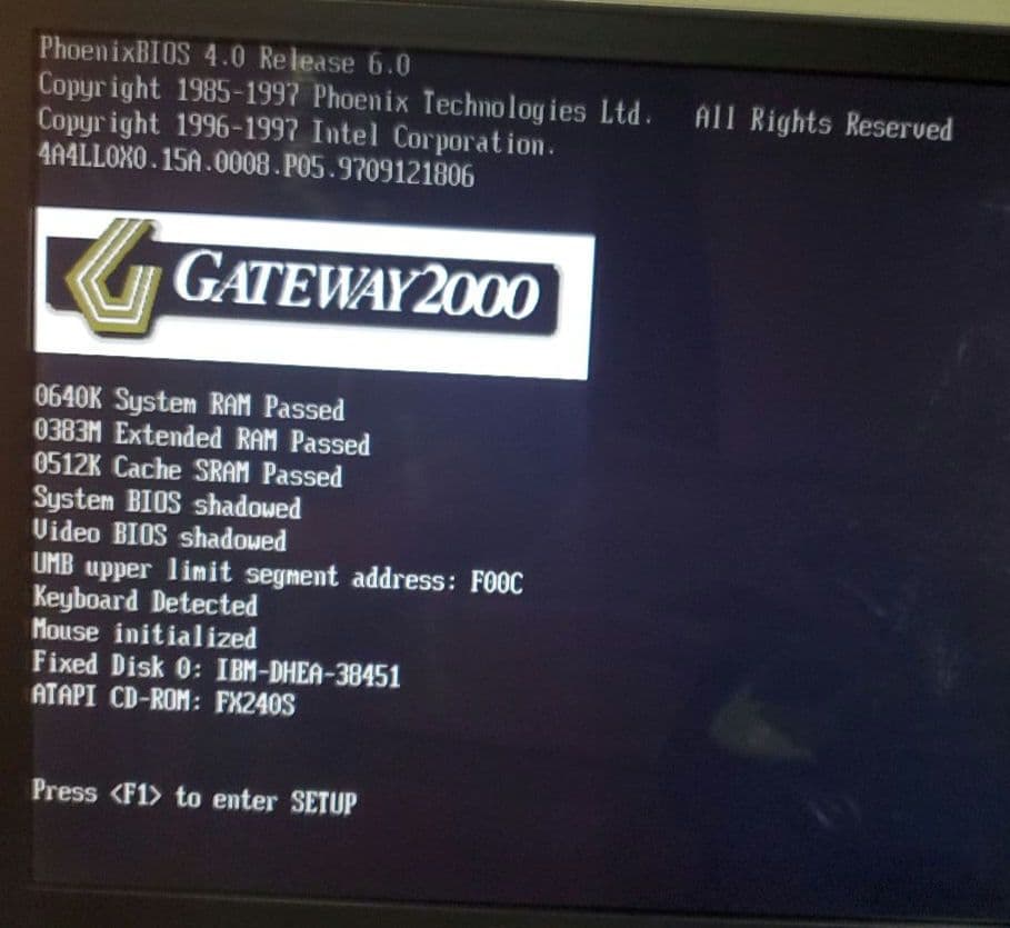 Gatewey2000＋DVRex-M1(canopus)