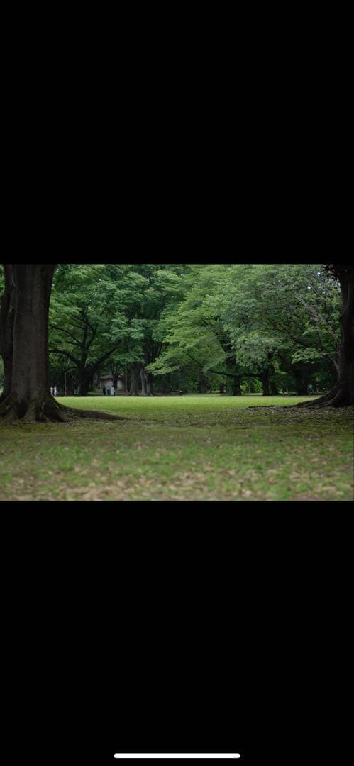 Nikon D200 デジタル一眼レフカメラ　ショット数2500枚弱