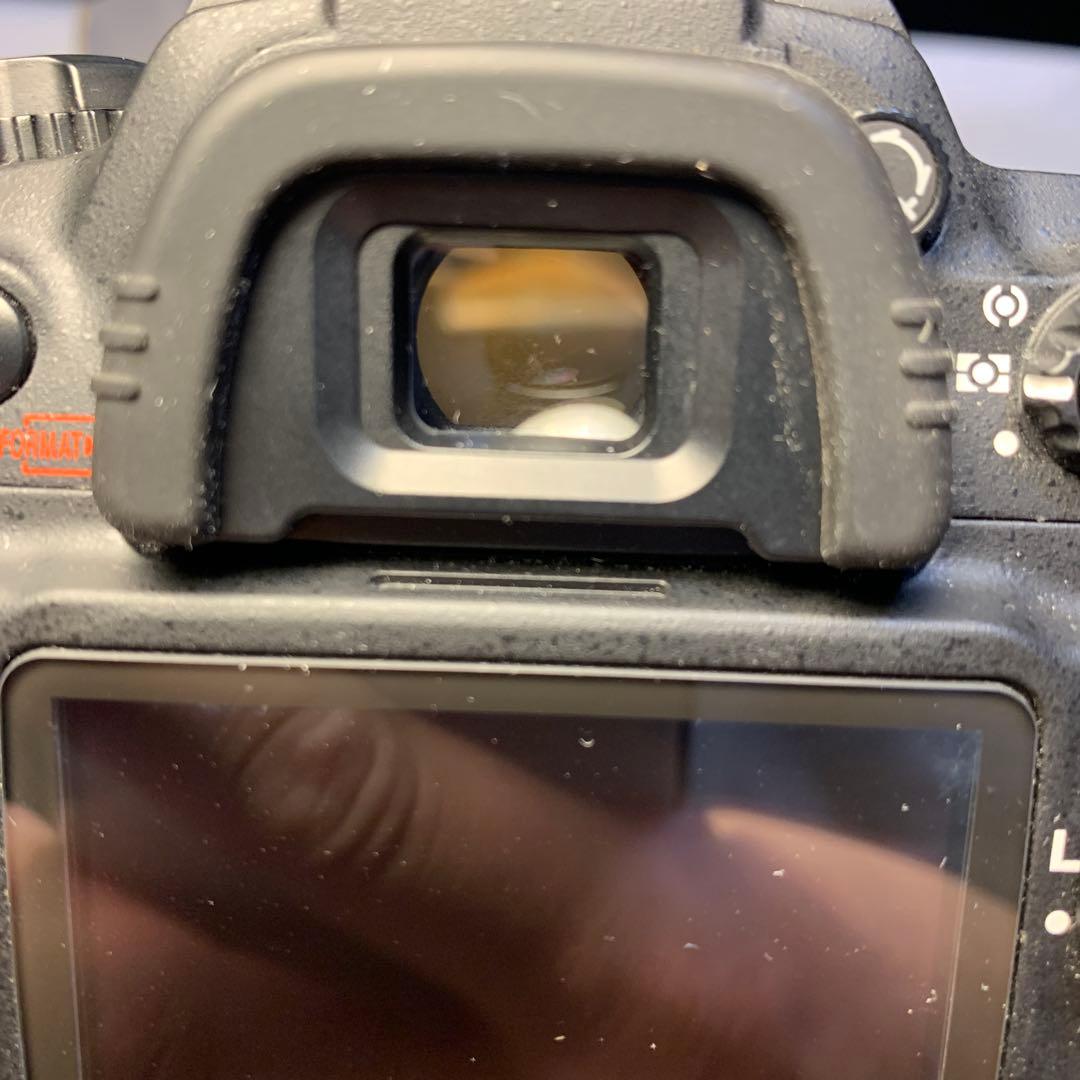 Nikon D200 デジタル一眼レフカメラ　ショット数2500枚弱