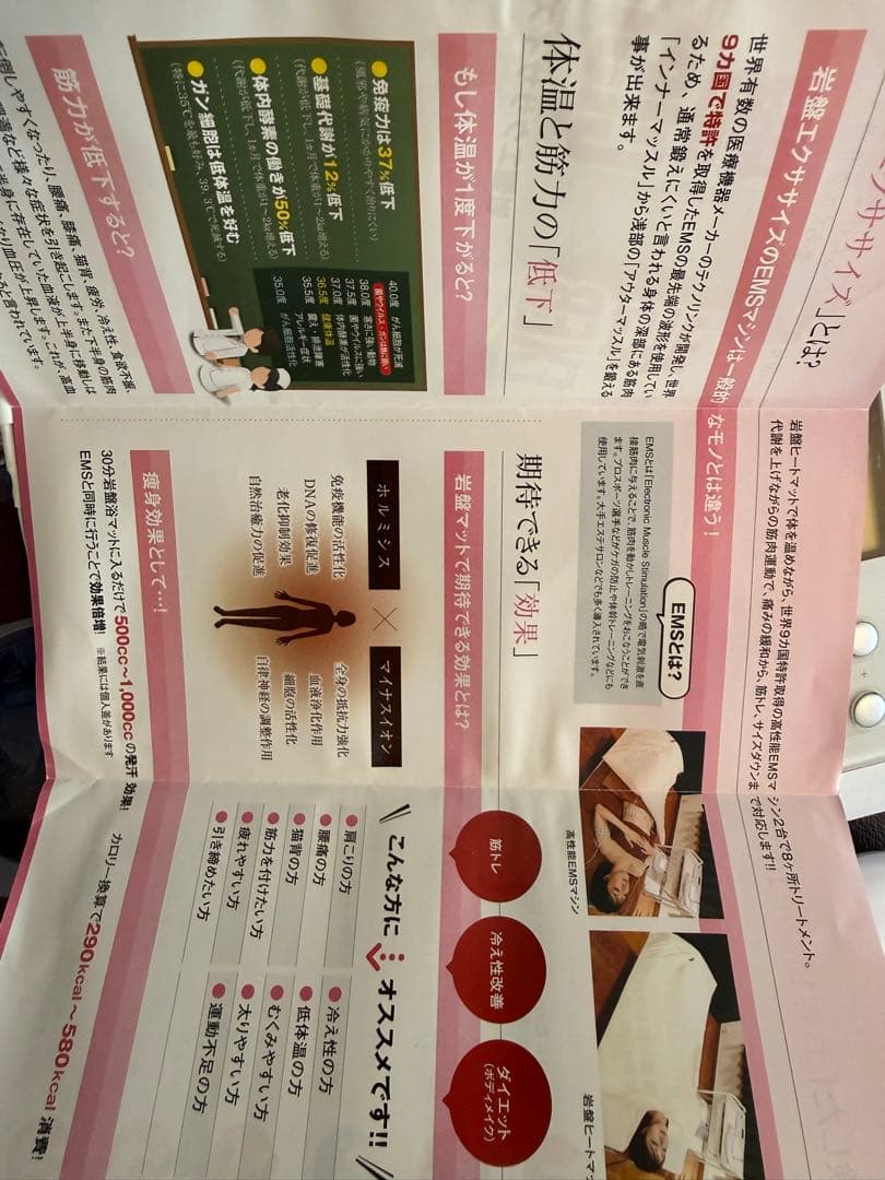 【美品】岩盤ヒートマット＆EMSセット 温活 ボディメイク サロン仕様