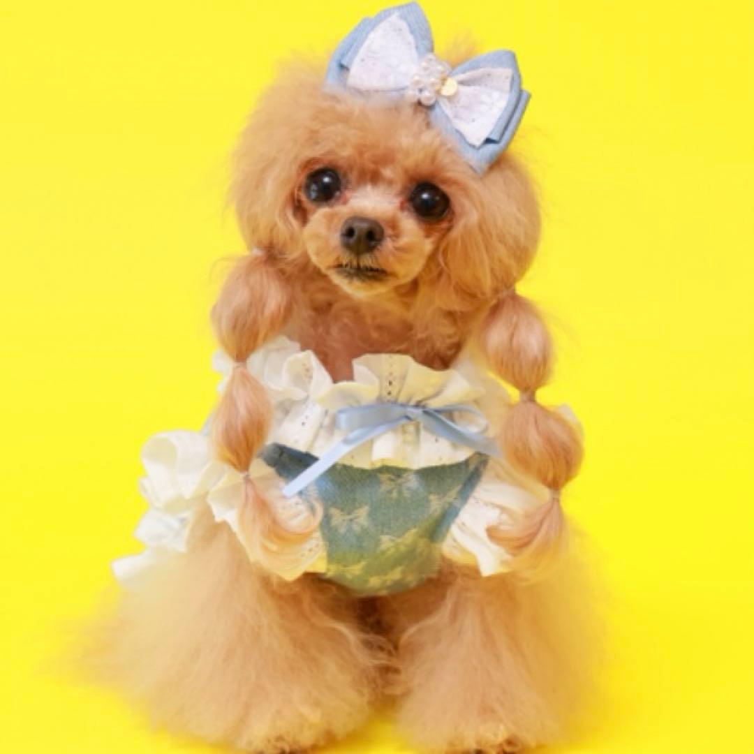 専用 ゴットピパ　COOLガーリーデニムハーネス　リボン柄　sサイズ　新品未使用