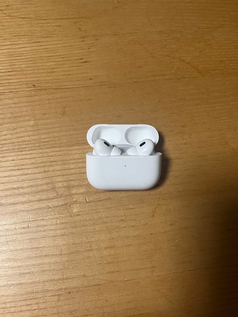 AirPods Pro2 2024年12月頃購入 イヤーチップLサイズ無し
