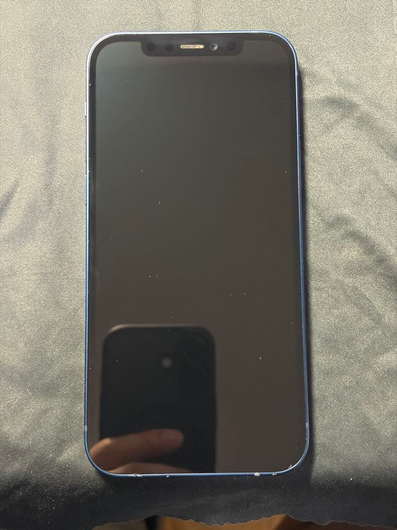 Apple iPhone 12 256GB ブルー 本体 SIMフリー スマホ