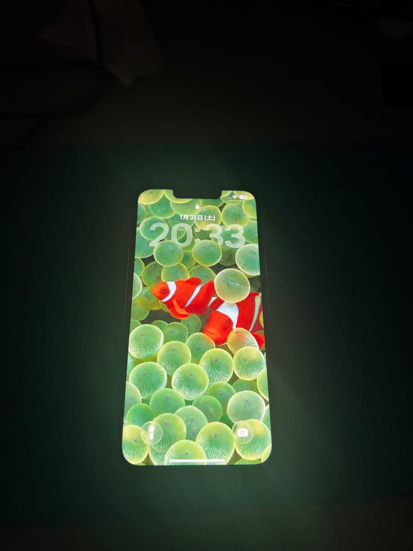 極美品　iPhone 13 Pro Max 256gb バッテリー100%