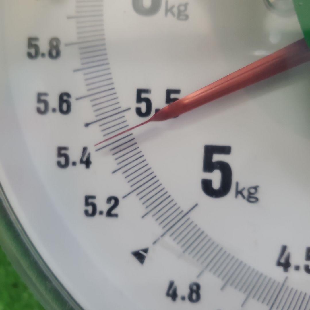 5️⃣ 山梨県産 シャインマスカット １２房入り 箱込み5.4キロ