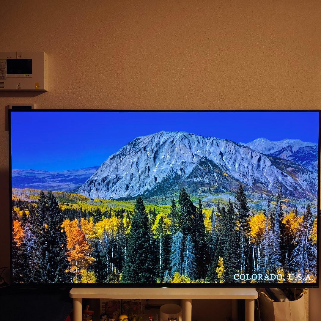 【引取限定特価】SONY 55インチ4K有機EL