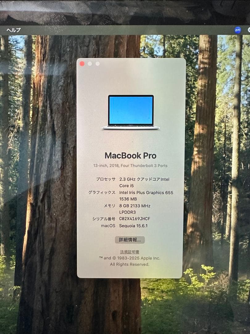 MacBook Pro 13インチ 2018