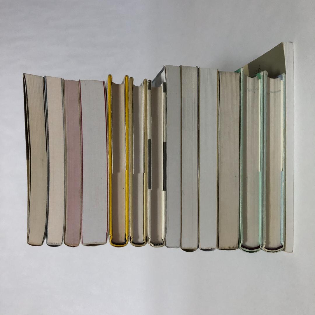 チェス本14冊セット