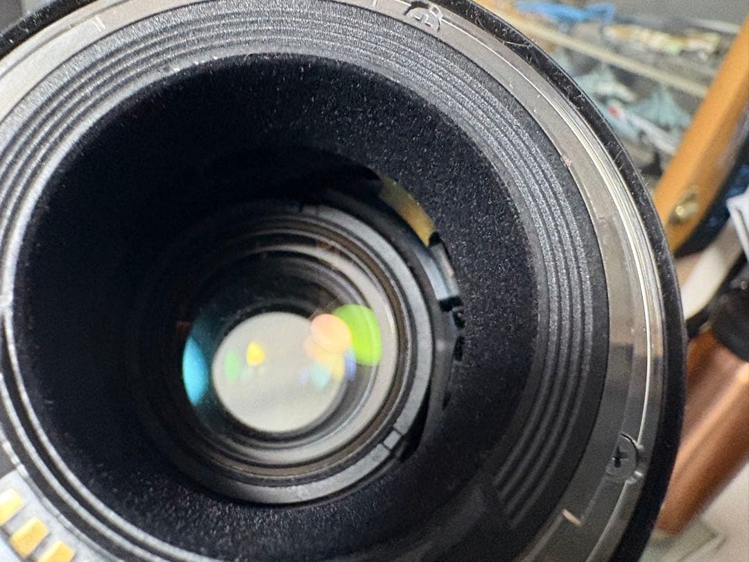 【美品】EF100-400mm F4.5-5.6L IS II USM キヤノン