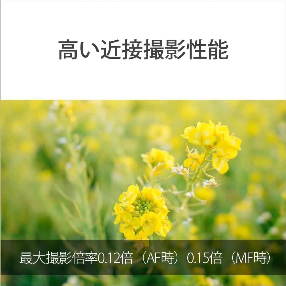 セール中 SONY Gレンズ 単焦点 夜景撮影 15mm F1.4G