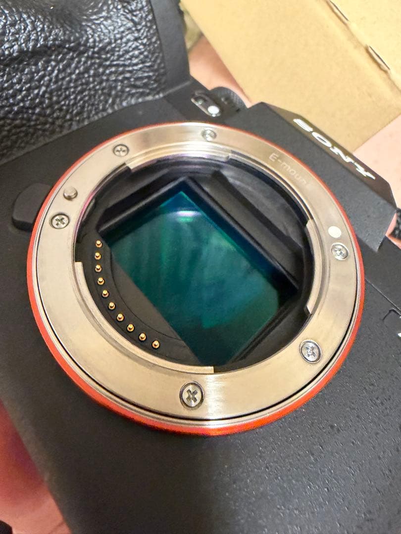 最終値下 超美品 SONY ミラーレス一眼 a7RV ボディ