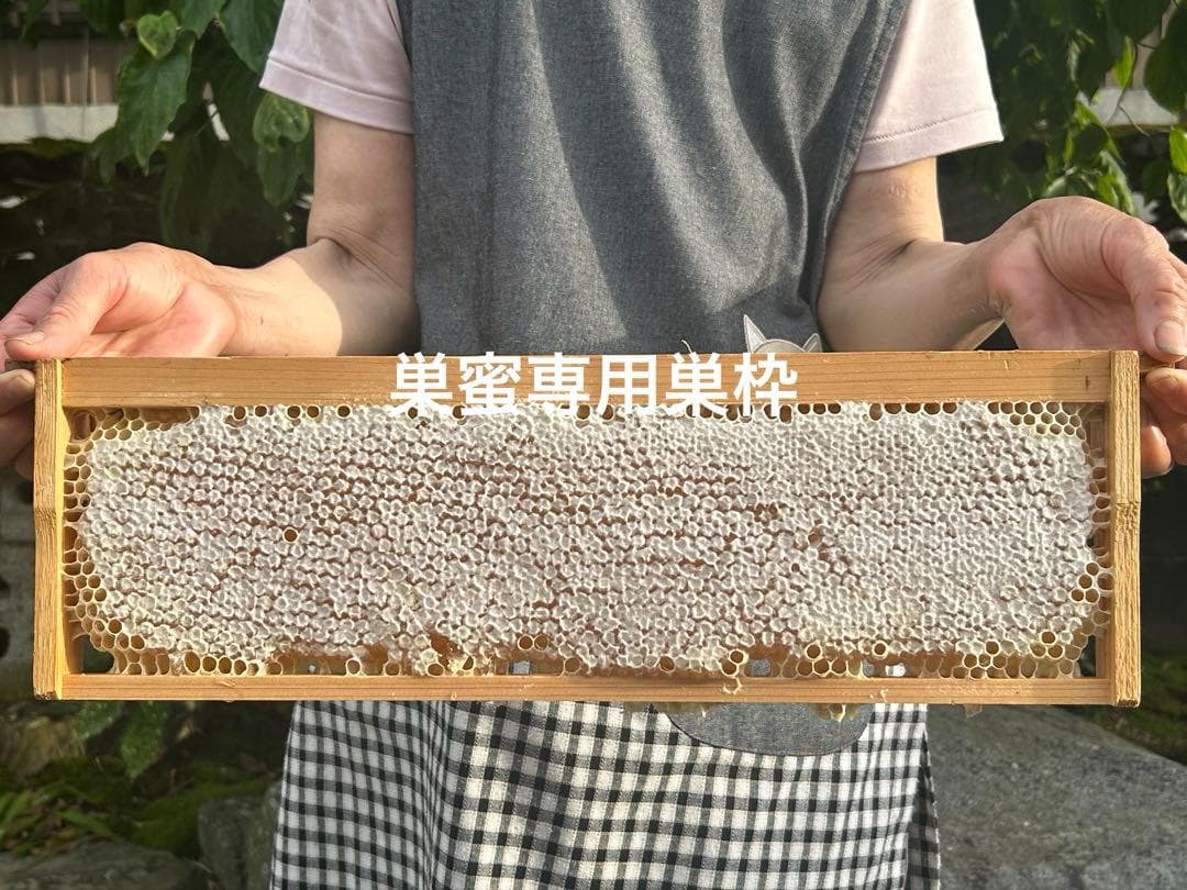 みつばち巣蜜　２パックセット➕トンガリ容器500g