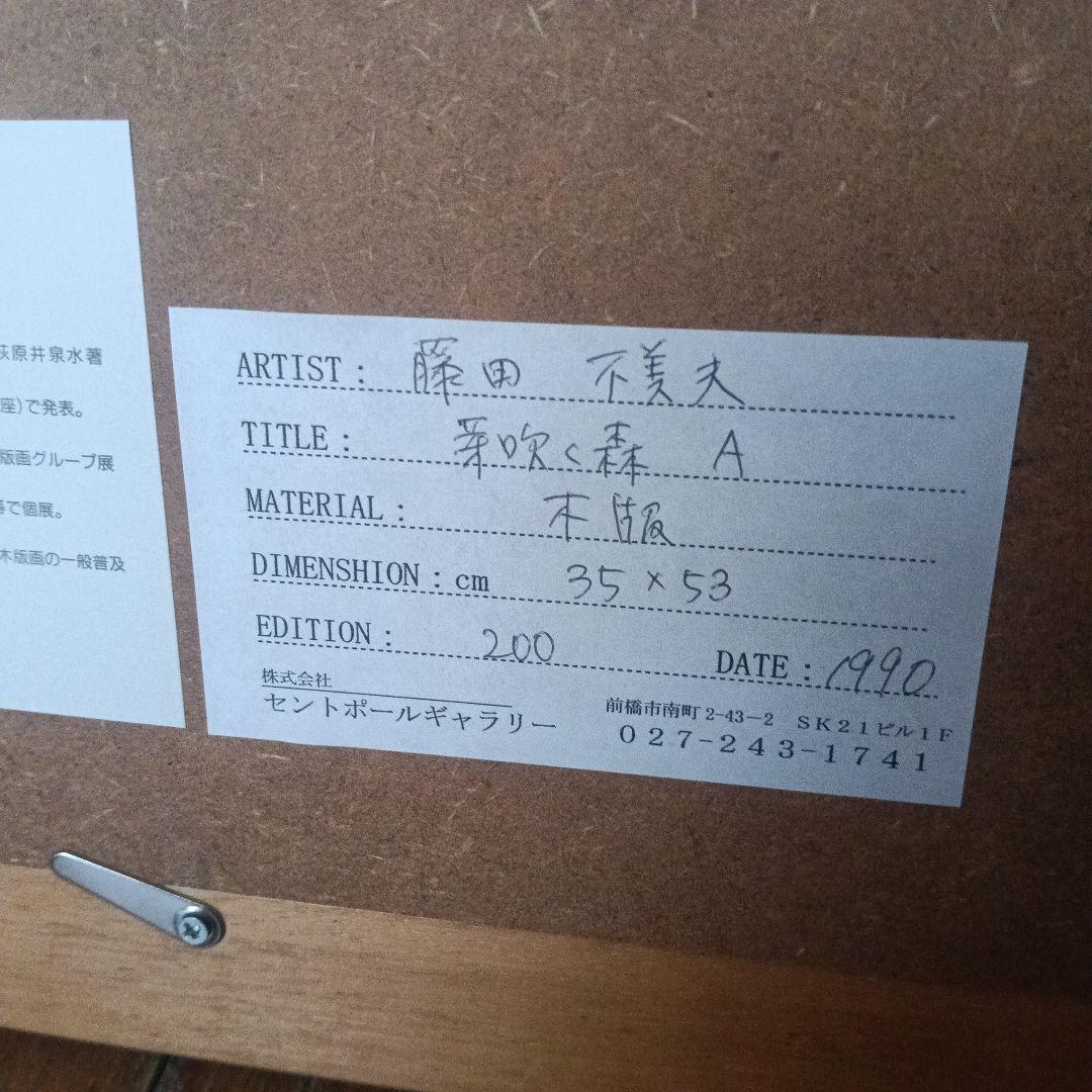 藤田不美夫 ☆芽吹く森A☆　 鉛筆サイン 1990年制作