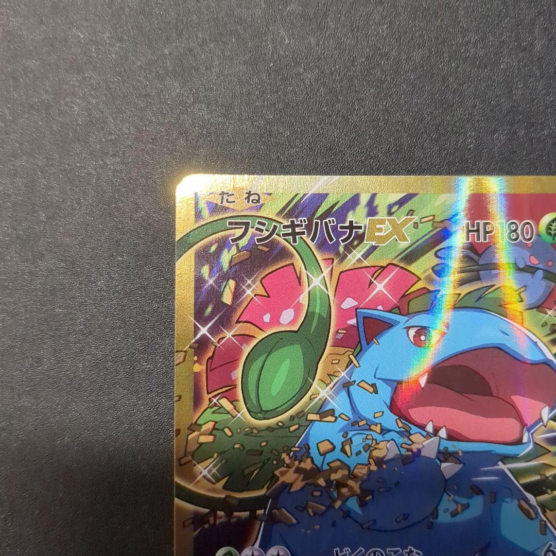 フシギバナEX SR CP6 20th