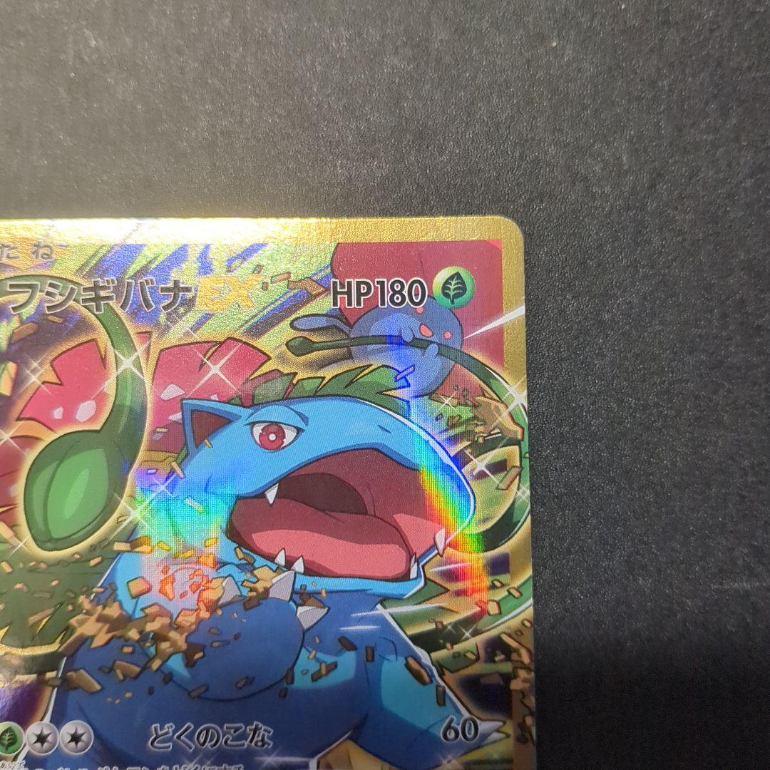 フシギバナEX SR CP6 20th