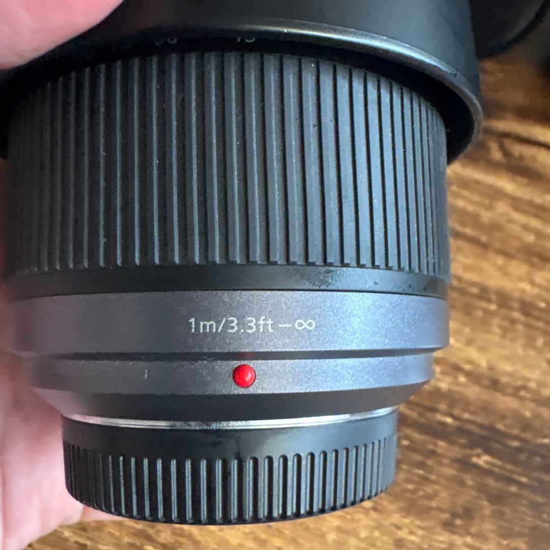 Panasonic H-FS045200 14-42mm レンズ