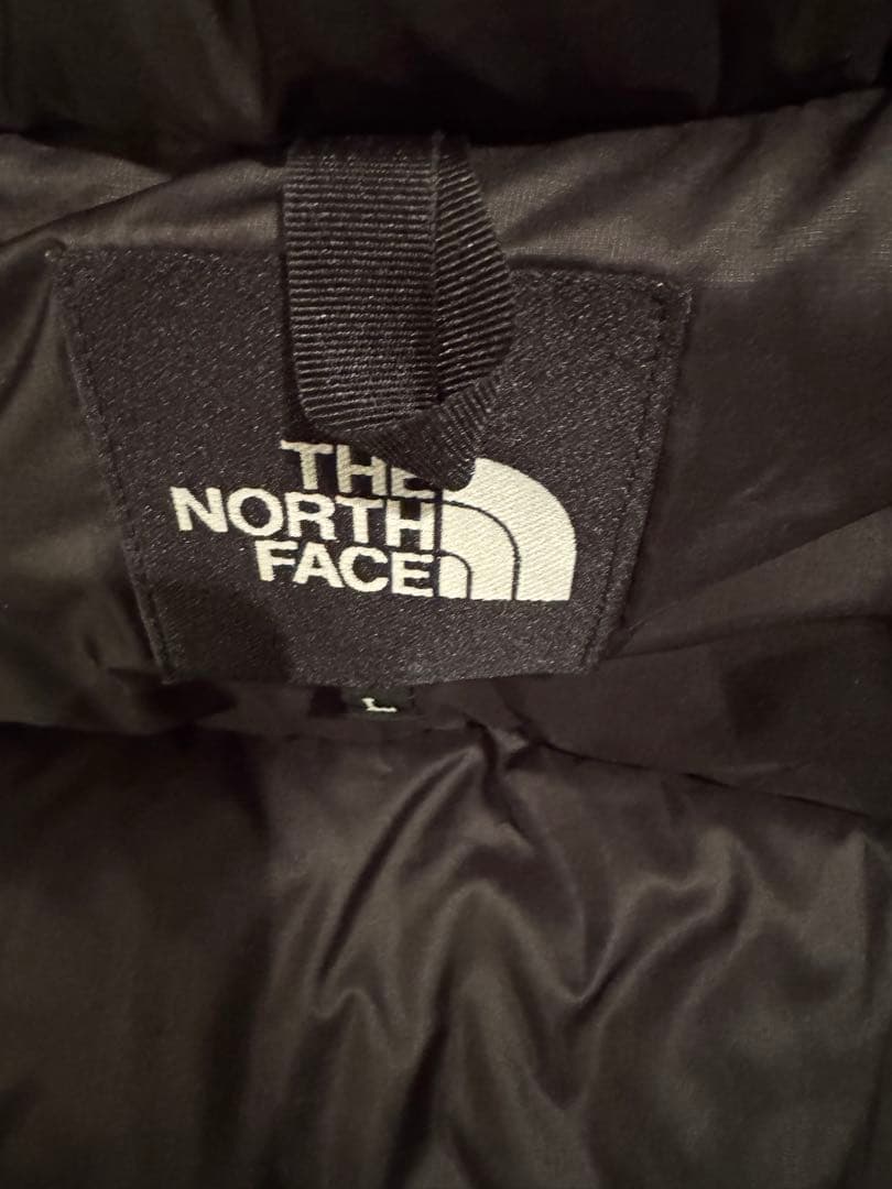 THE NORTH FACEノースフェイス アンタークティカパーカLサイズ