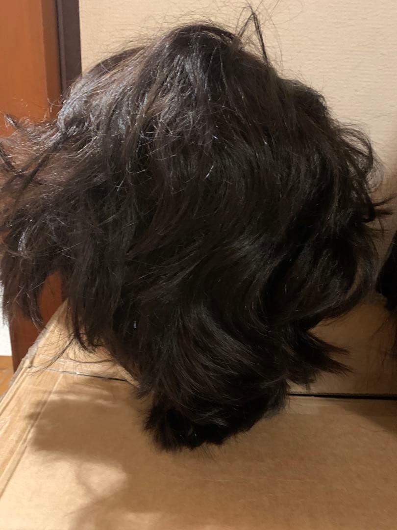 美容師、ウィッグ5個セット、国家試験