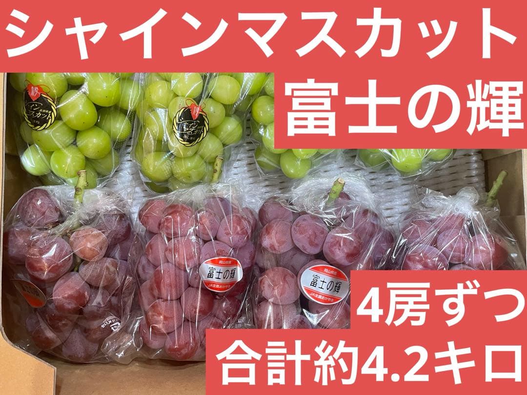⑧【島根県産】 シャインマスカット4房 【岡山県産】 富士の輝　4房
