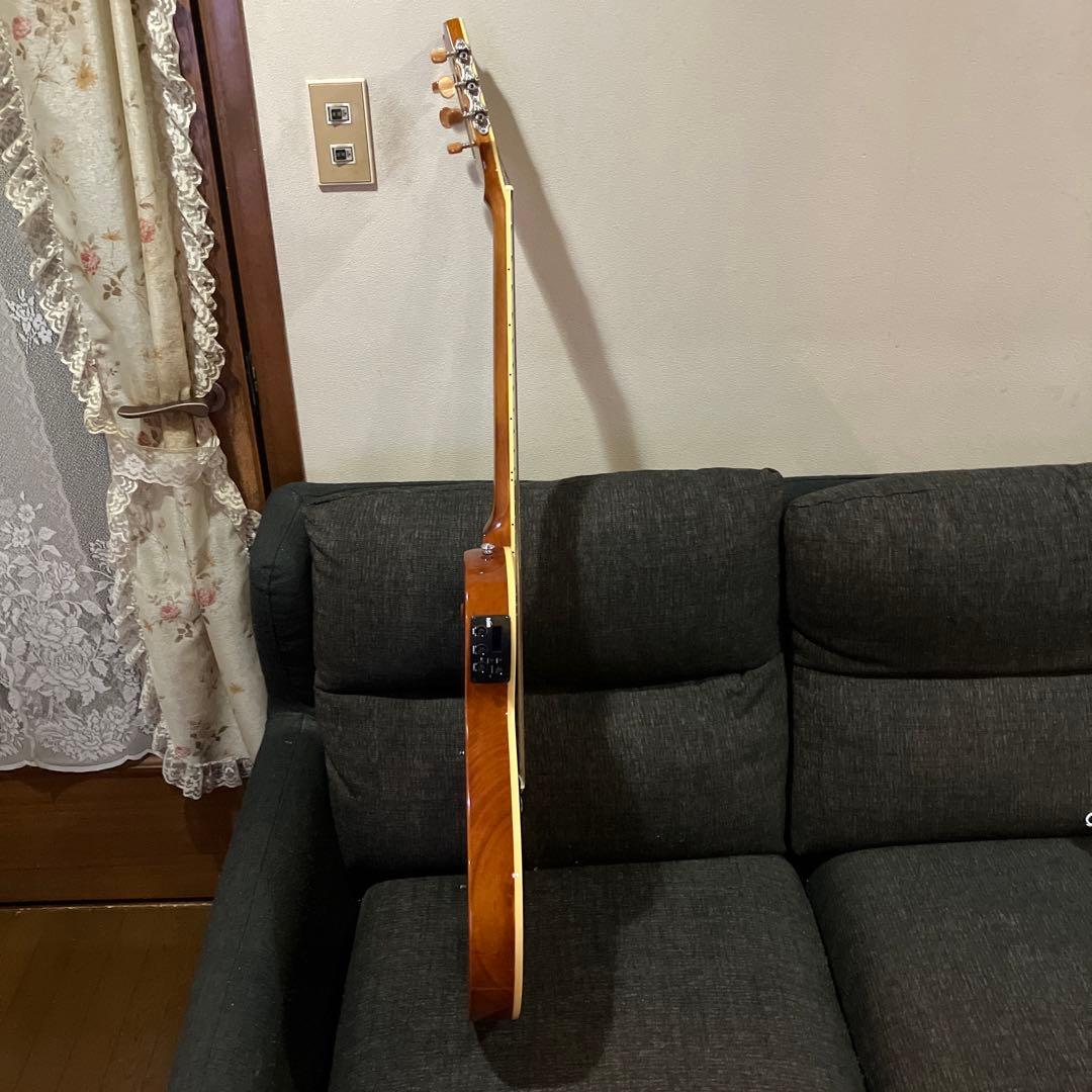 ESP LTD TL-6N エレガット