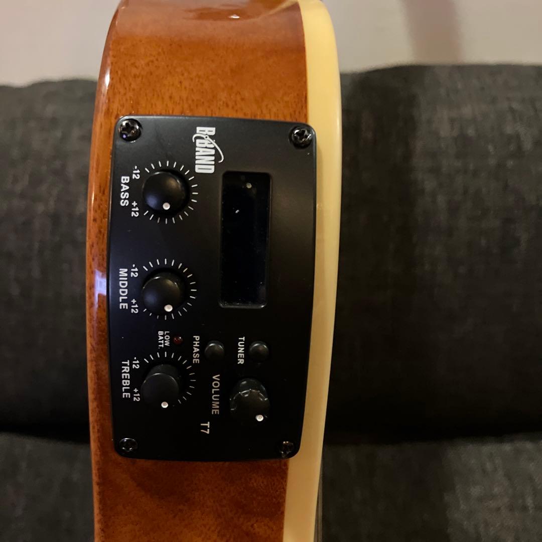 ESP LTD TL-6N エレガット