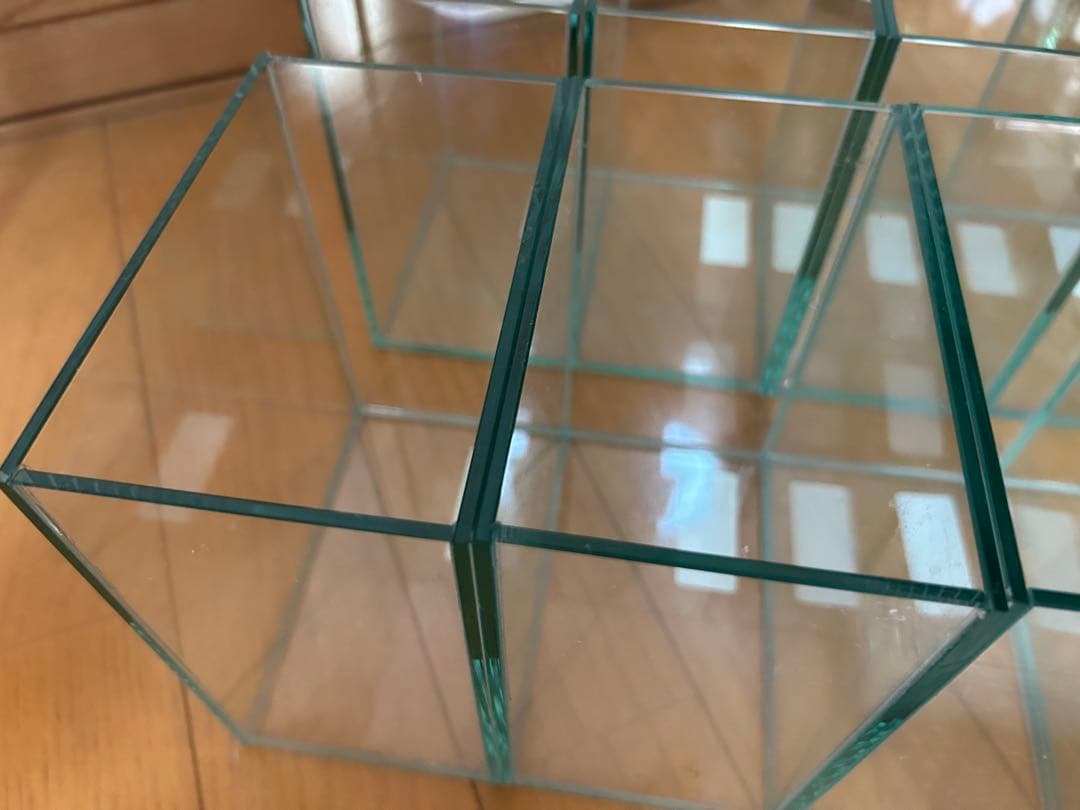 ベタ　コレクションケースM 12個