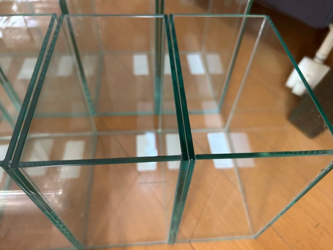 ベタ　コレクションケースM 12個