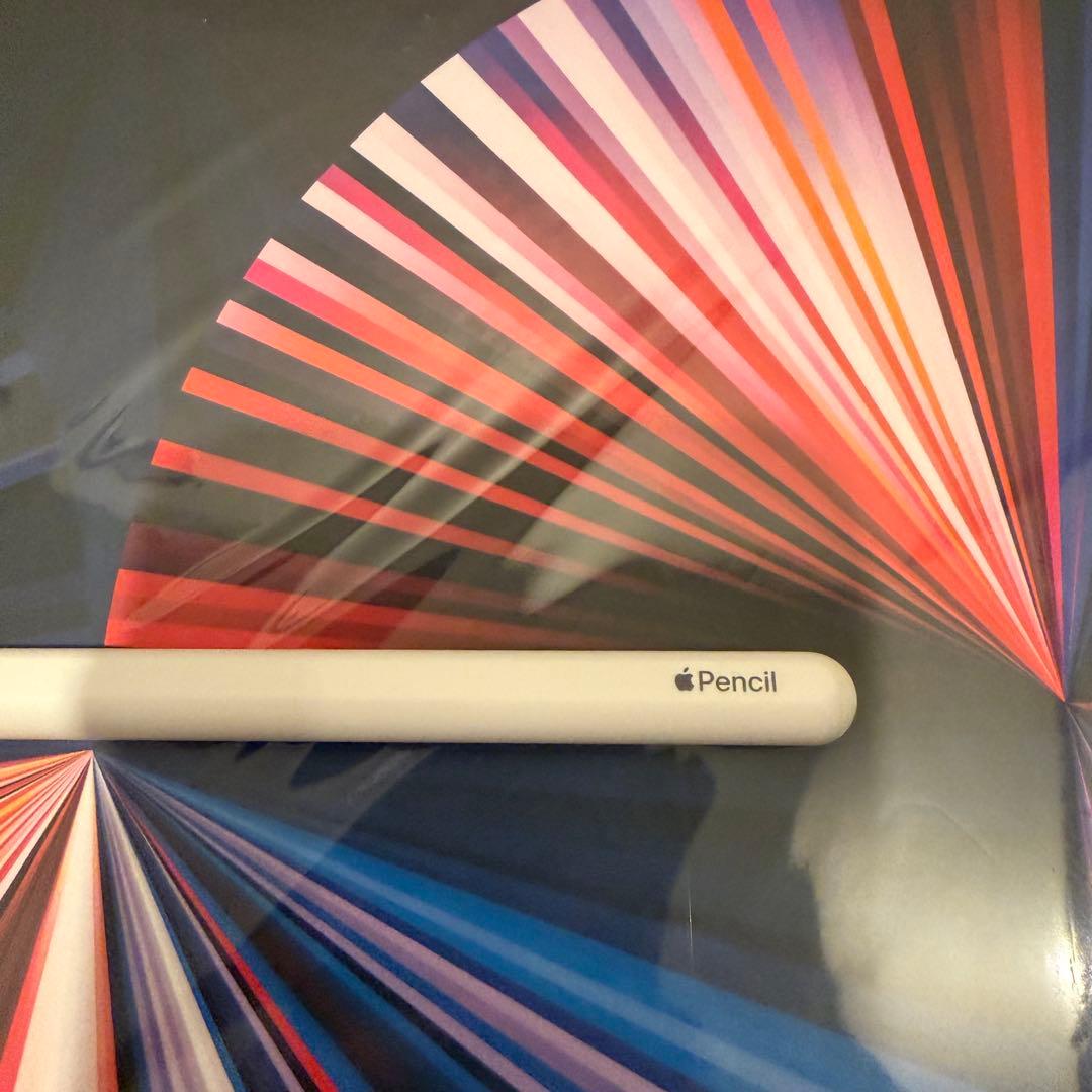 極美品 iPad Pro 12.9インチ M1 256GB アップルペンシル付き