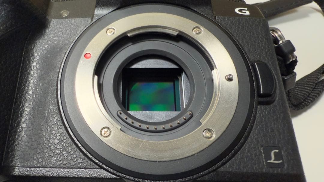 LUMIX DMC-G7 シャッター回数3759回