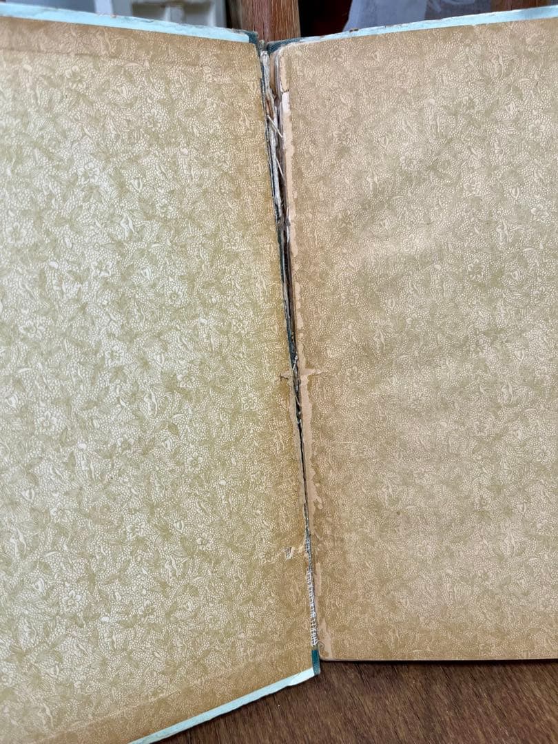 クリスマス　洋書　アンティーク　稀少　古書　絵本　少女　リトグラフ