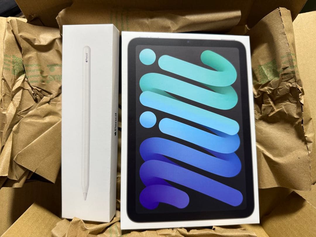 ⭐️中古美品ipadmini6 wifi 256gApple Pencil2セット