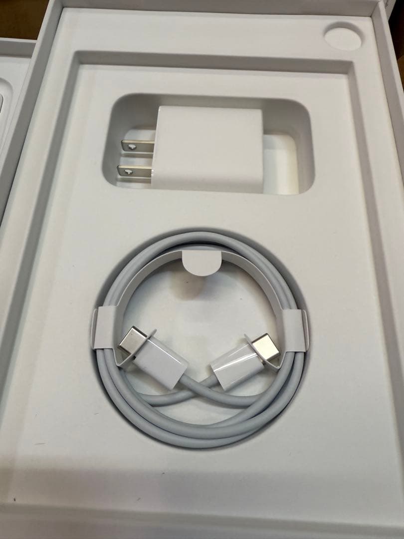 ⭐️中古美品ipadmini6 wifi 256gApple Pencil2セット