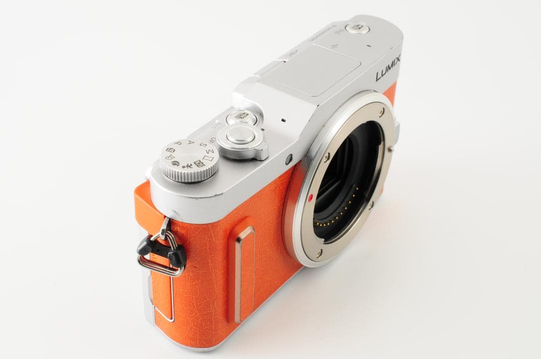 パナソニック Panasonic LUMIX DC-GF10 レンズキット