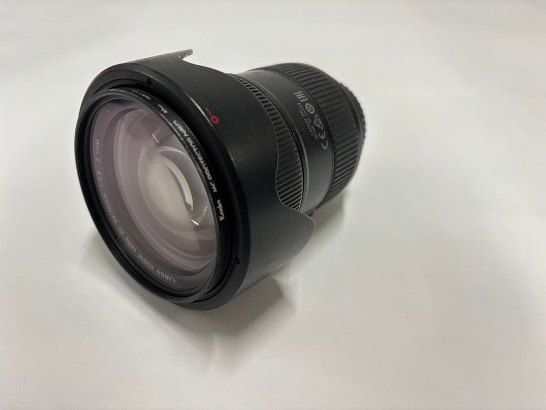 Canon EOS 6D Mark II ボディ + Lレンズ3本